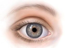 Схема глаза с близорукостью и дальнозоркостью